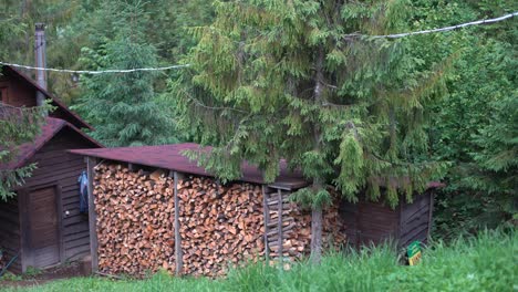 A-large-stack-of-snow-covered-firewood-stands-on-backyard-in-the-village